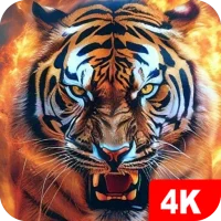 Tiger Wallpapers 4K